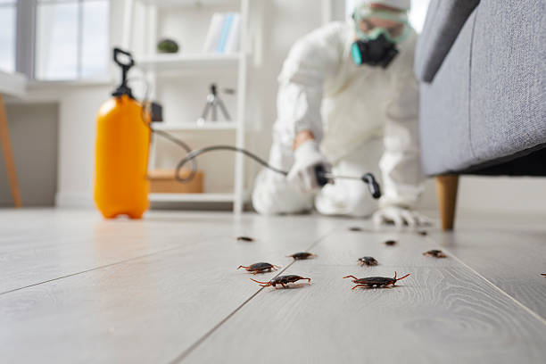 Commercial Kitchen Cockroach Control in Montoursville